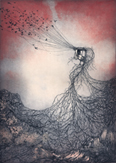 Caroline Donohue