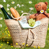 Mountain Top Picnic Getaway image