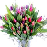 Spring Tulip Deluxe image