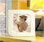 Belleek - Sandwave 8 x10 Frame