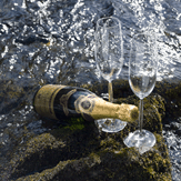 Celebrate In Style