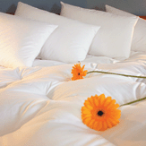 Duvets