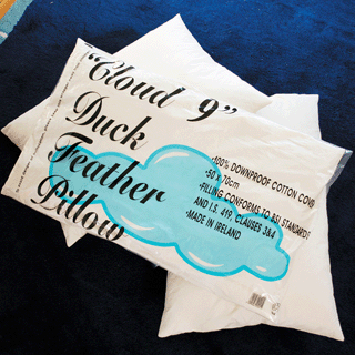 Cloud 9 Feather &amp; Down Pillow