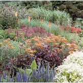 Garden Consultation