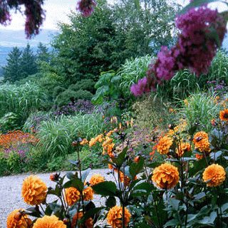 1 Day Vegetable Growing Gardening Course