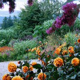 1 Day Vegetable Growing Gardening Course