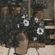 Jean Bardon - "Whiskey Jar" Limited Edition Print