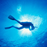 Discover Scuba Diving - Introductory Lesson