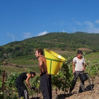 South of France Wine Selection - Half Case