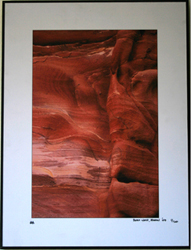 Limited Edition Picture mounted on MDF - 16" x 12"