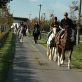 Horse Riding through Kildare Countryside