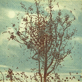 E.B.'s Tree