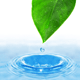 Zen Ritual Spa Package