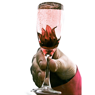 Fizz and Flowers
