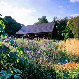 Tuesday Morning Beginners Gardening Lesson