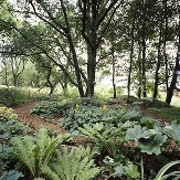 Exotic Gardens & Meadows Gardening Course