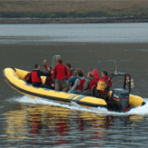 1 Hour Speedboat Ride