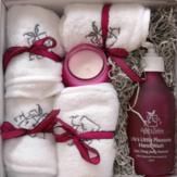 The Visitors Bathroom Gift Set image