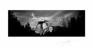 Yosemite Portfolio