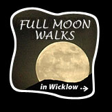 Full Moon Mountain Walk in Wicklow