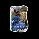 Photography Tour