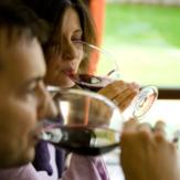 One Day Wonder Wine Course