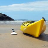 2-Hour Sea Kayak Tour