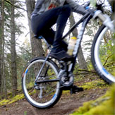 Half Day Mountain Biking