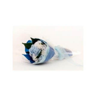 Baby Boy Sock Posie