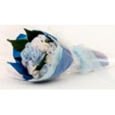 Baby Boy Sock Posie image