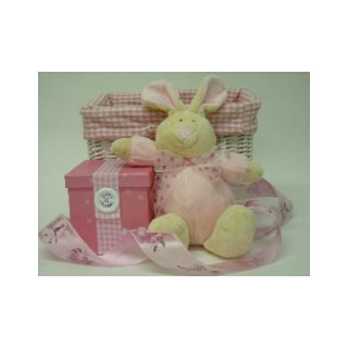 Baby Hamper 11 - Baby Girl