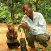 Plant trees
