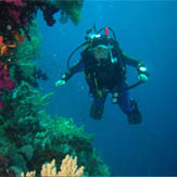Ocean Diver Gift Vouchers