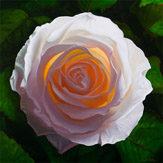 Solar Rose