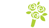 Flower Delivery same day delivery