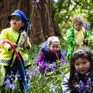 Fancy Dress Costume image