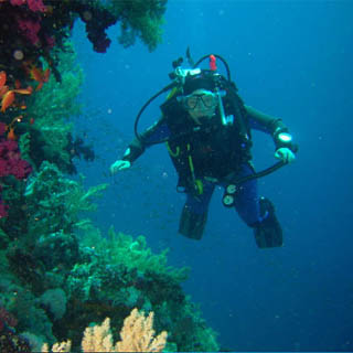 PADI Scuba Diver Course