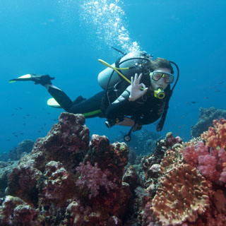 Open Water PADI Courses