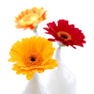 €500 Home & Garden Voucher image
