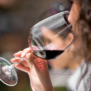 WSET Level 2 Wine Course